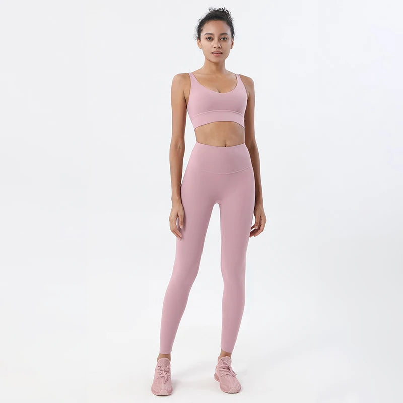  Pink Purple