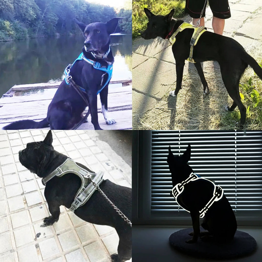 Reflective Padded Dog Harness Adjustable Safety Vest for All Dogs