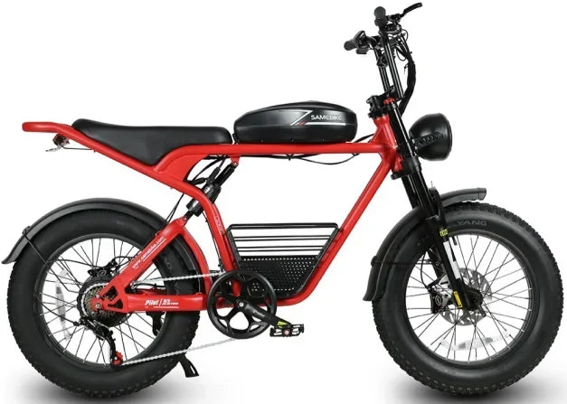 Powerful 1000W Fat Tire E-bike
