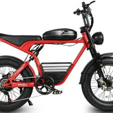 Powerful 1000W Fat Tire E-bike
