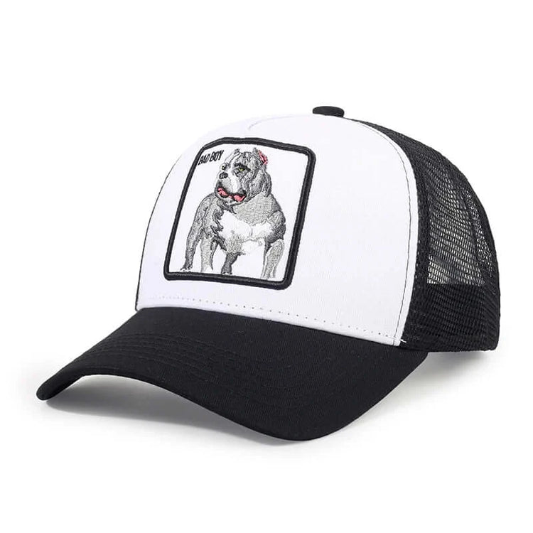 sun protection baseball cap Stylish Sun Protection