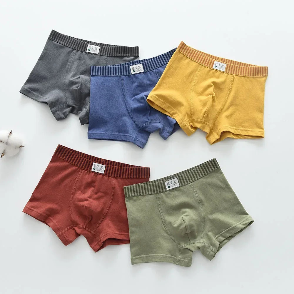 5-Pack Boys' Solid Cotton Comfortable Toddler & Teen Underwear