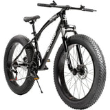 Fat Tire Mountain Bike with Dual Suspension