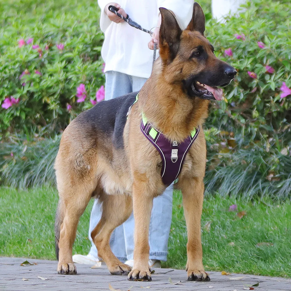 Reflective Padded Dog Harness Adjustable Safety Vest for All Dogs