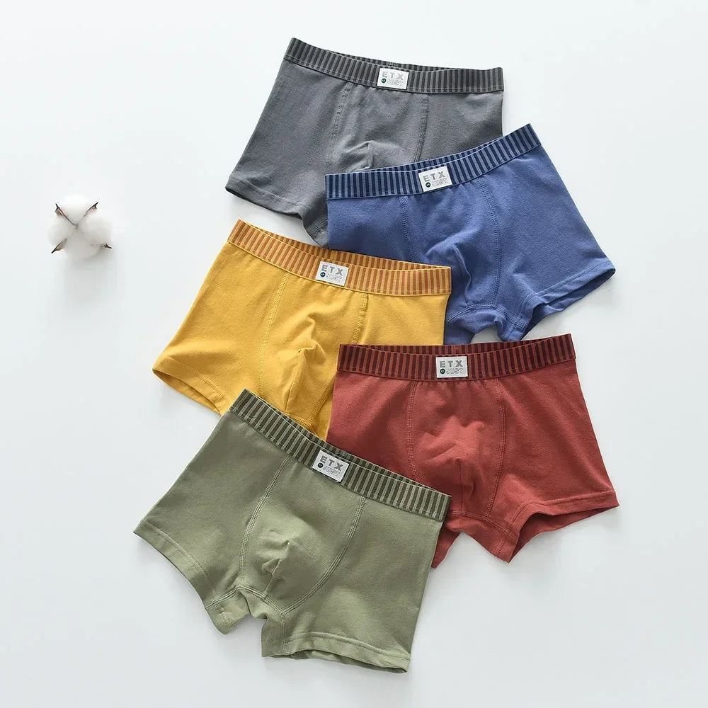 5-Pack Boys' Solid Cotton Comfortable Toddler & Teen Underwear
