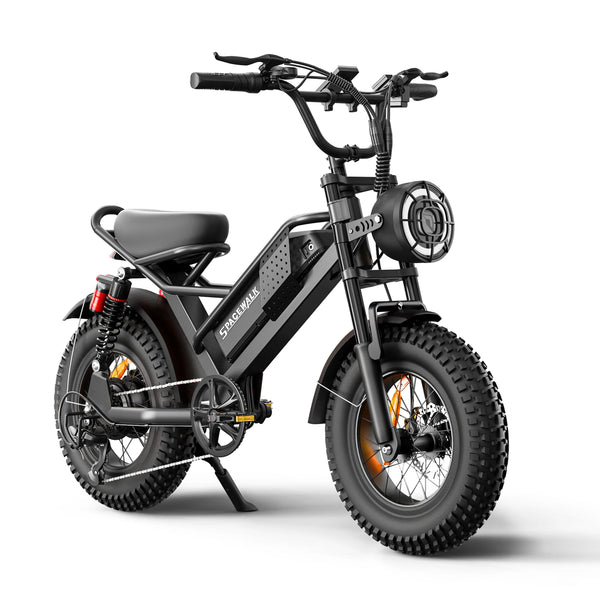 Fat Tire Electric Bike for Adults All-Terrain Dual Suspension
