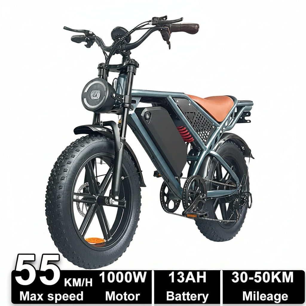 Dual Battery Fat Tire Electric Mountain Bike for Adults