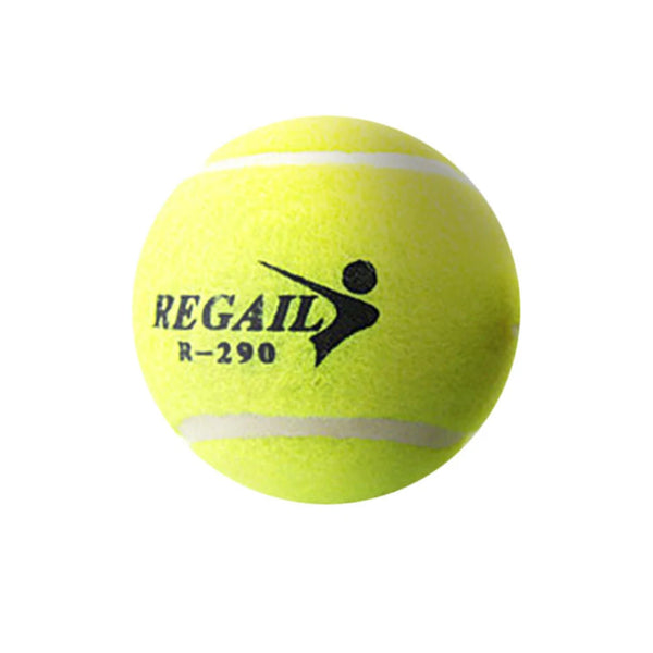 Bite-Resistant Elastic Rubber Dog High-Bounce Balls Outdoor Training