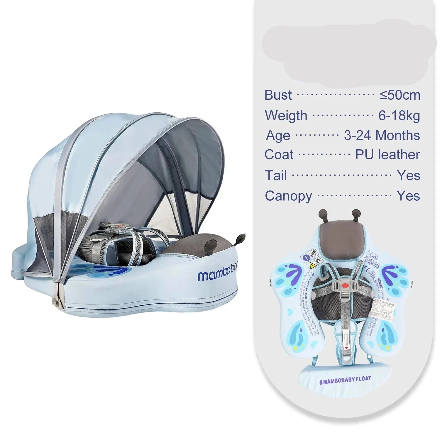  Butterfly Blue
