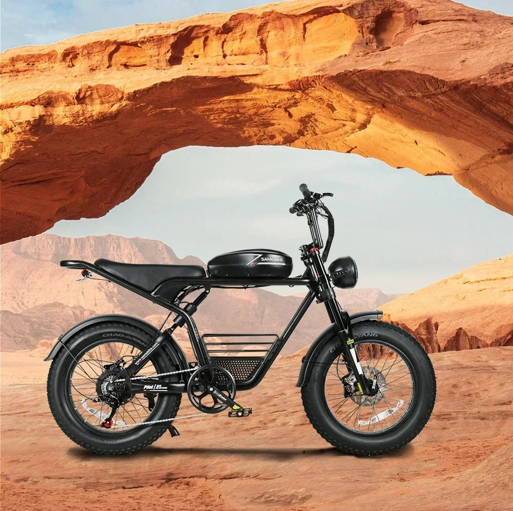 Powerful 1000W Fat Tire E-bike