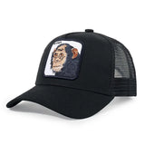 sun protection baseball cap Stylish Sun Protection