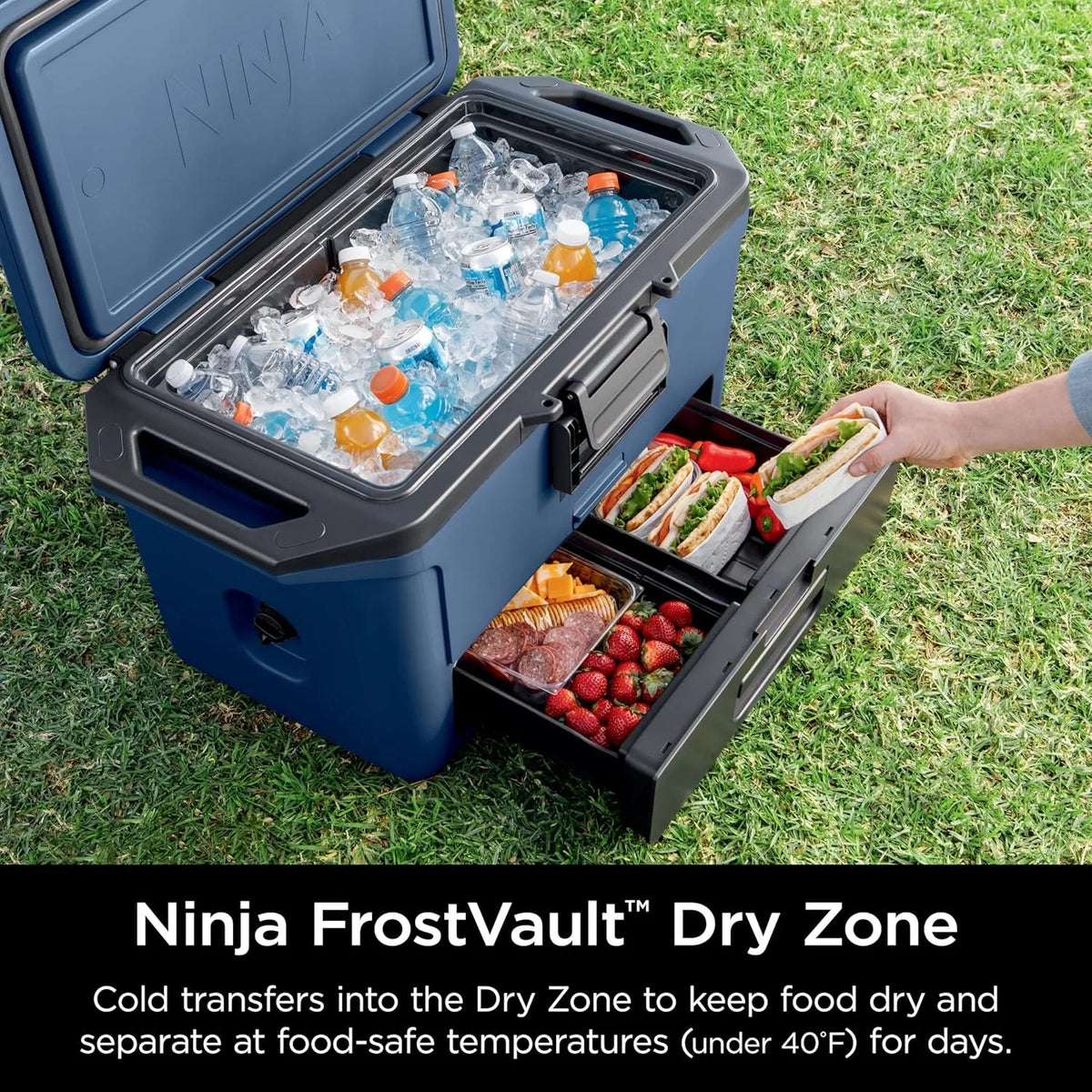 Ninja FrostVault 50qt Cooler with Dry Zone