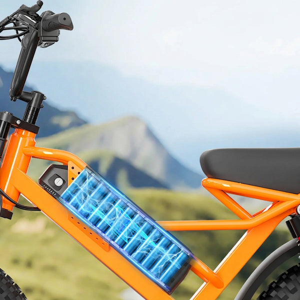 Fat Tire Electric Bike for Adults All-Terrain Dual Suspension