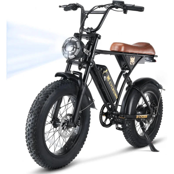 Adult Electric Bike: 750W Motor, 374.4Wh Battery, 20" Fat Tires, 55 Mile Range
