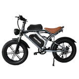  Electric Bicycle: 20