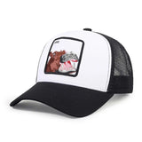 sun protection baseball cap Stylish Sun Protection