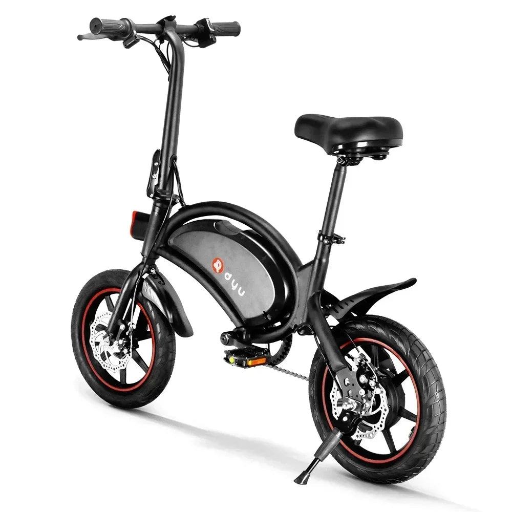 Portable Electric Bike with 250W Motor
