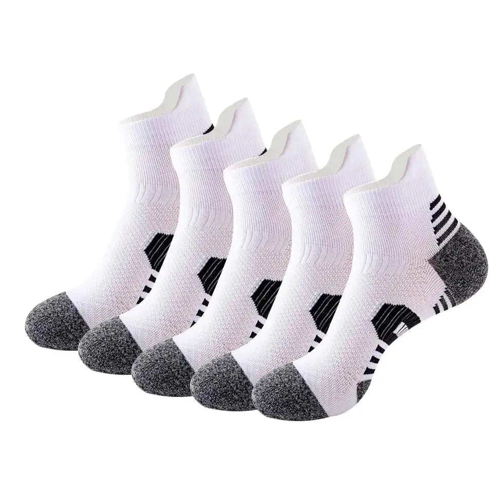Men's Ankle Socks for Training & SportsMen's Socks24 Hour Sport