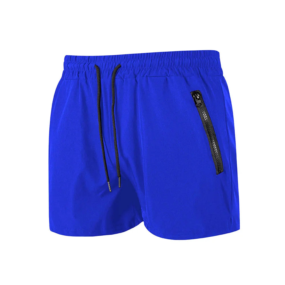  royalblue