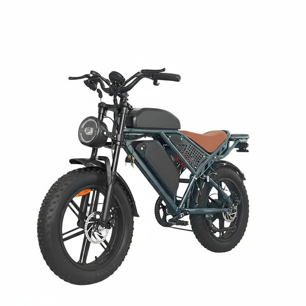 Dual Battery Fat Tire Electric Mountain Bike for Adults