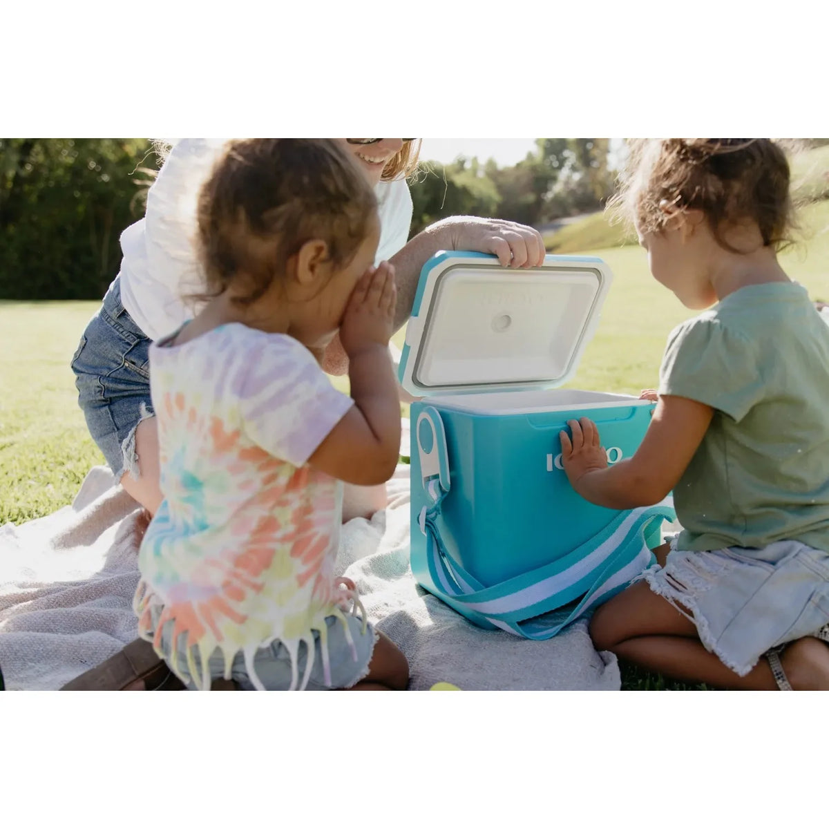 Igloo 11-Quart Tag Along Too Hard Side Cooler in Turquoise Blue