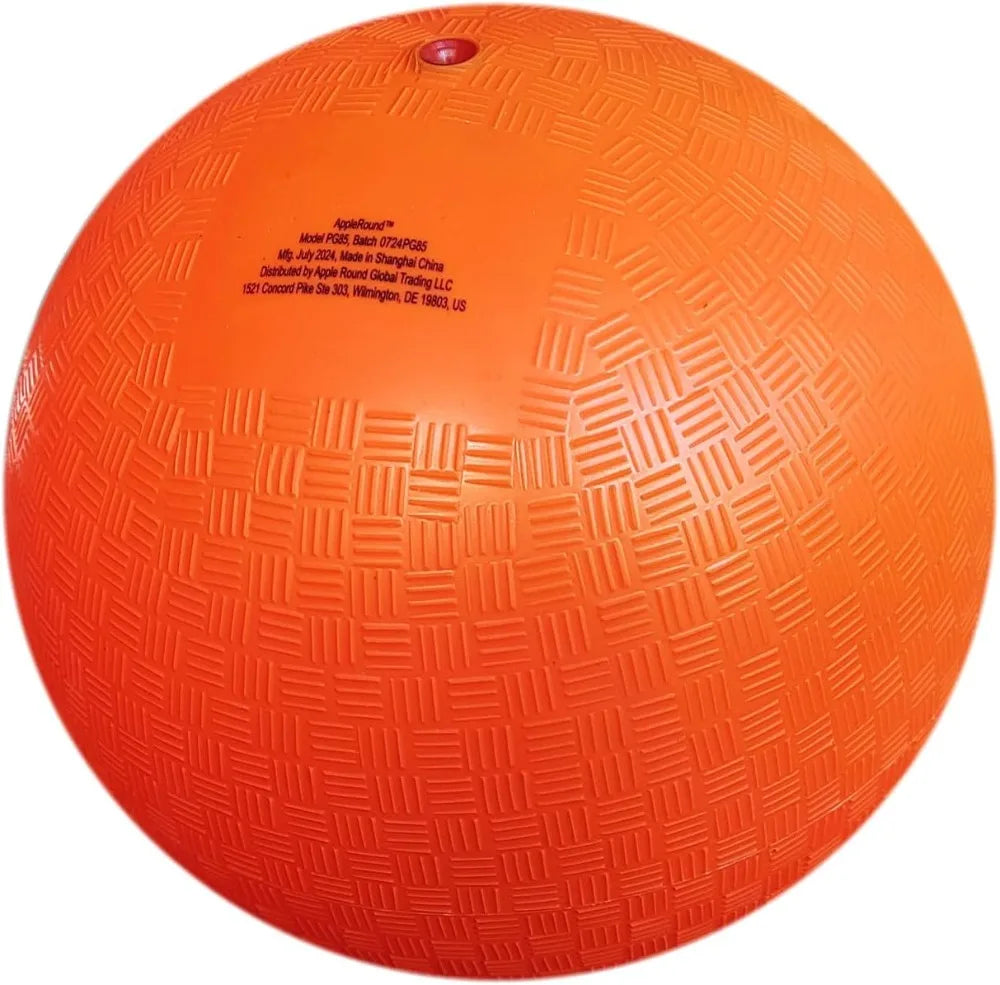 4-Pack Official Playground & Dodgeballs with Pump