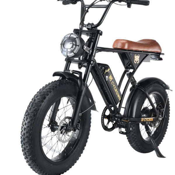 55-Mile Range Electric Moped with 20" Fat Tires
