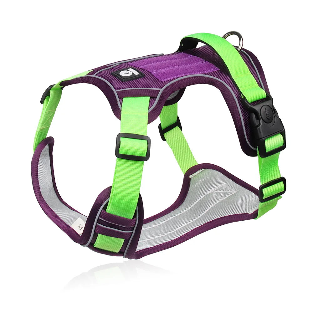  2026 Purple