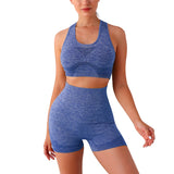 Seamless Yoga Set with High Waist Leggings
