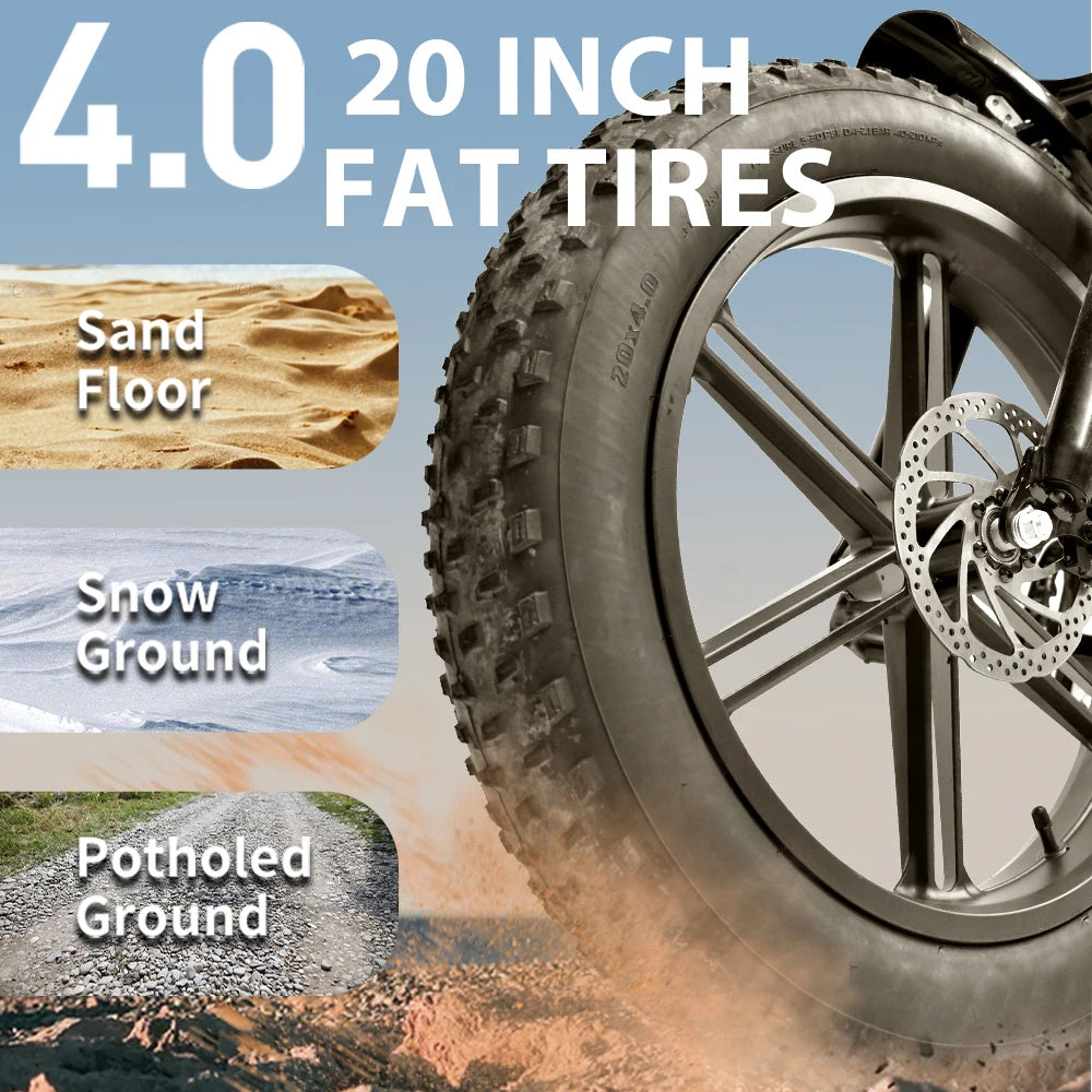 Dual Battery Fat Tire Electric Mountain Bike for Adults
