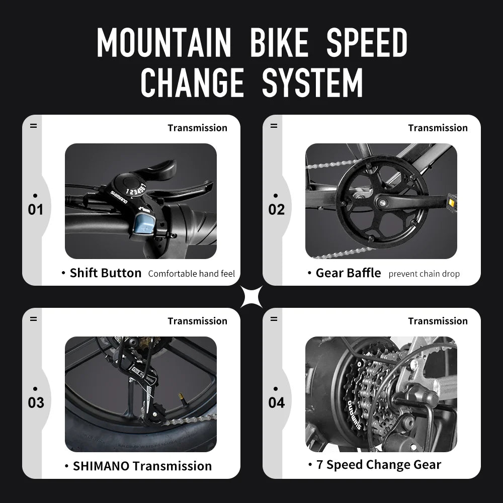 Dual Battery Fat Tire Electric Mountain Bike for Adults