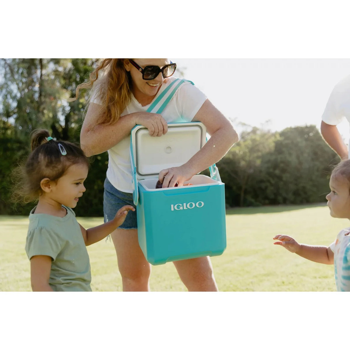 Igloo 11-Quart Tag Along Too Hard Side Cooler in Turquoise Blue