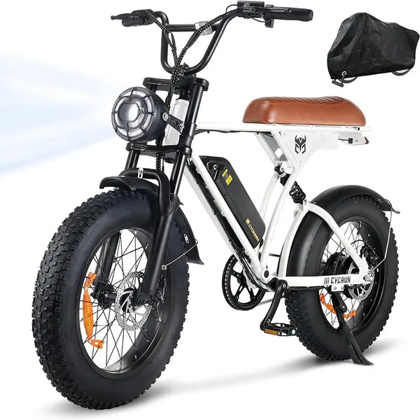 Adult Electric Bike: 750W Motor, 374.4Wh Battery, 20" Fat Tires, 55 Mile Range