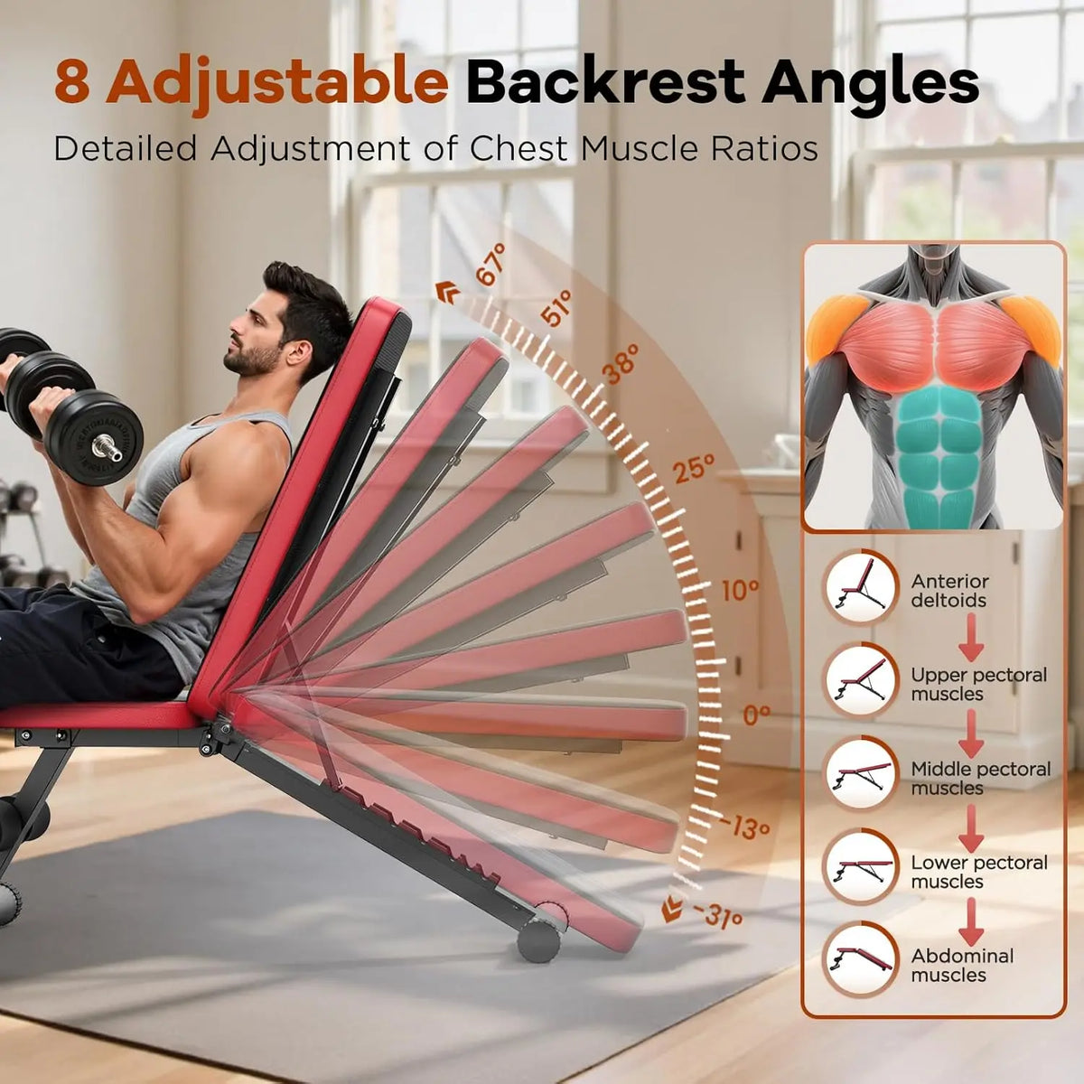 Adjustable Home Gym Multi-Position Weight Bench